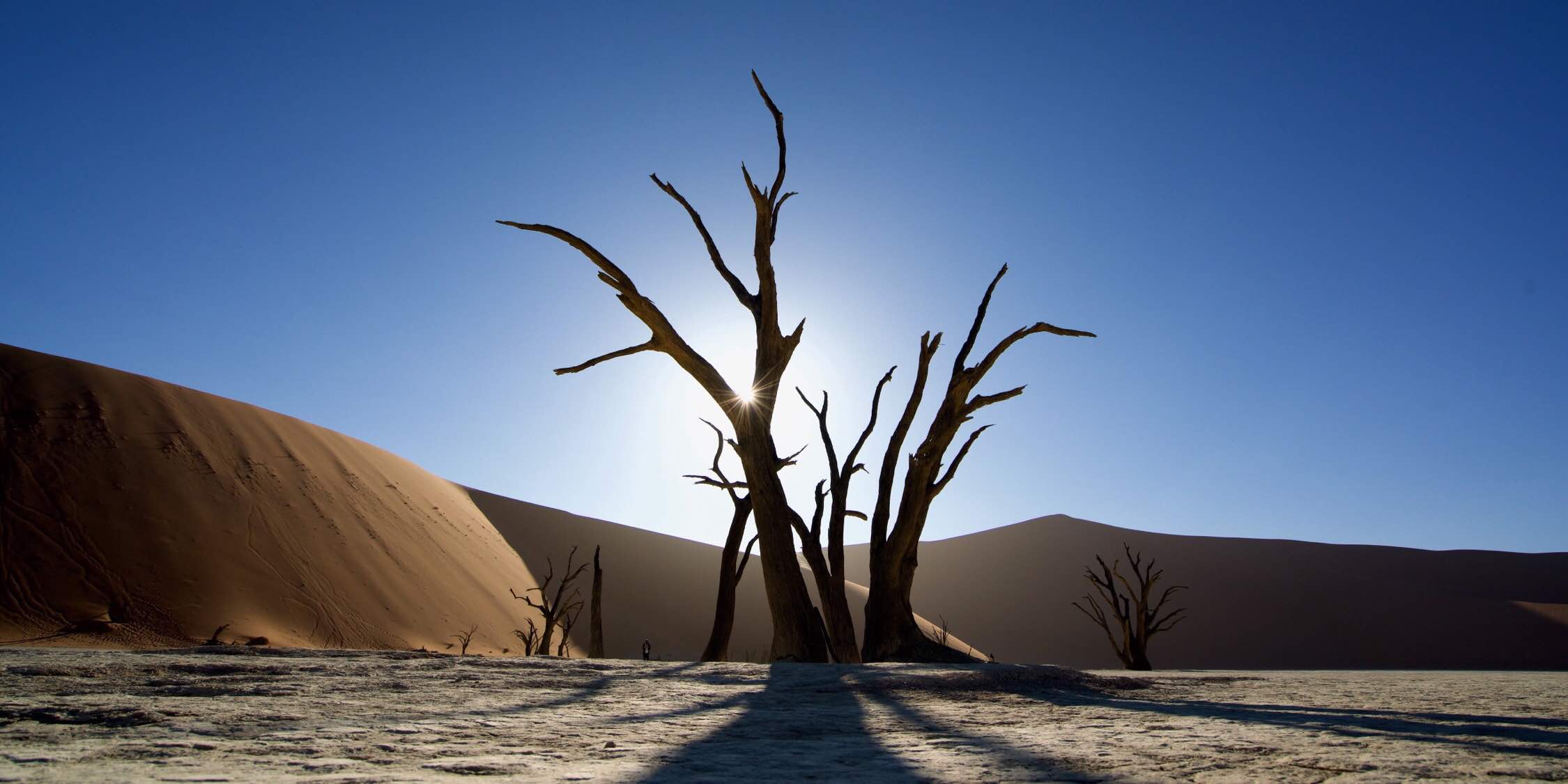 世界最古の砂漠 ナミブ砂漠で見た圧巻の景色 世界見聞録
